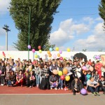 Festivalul voluntarilor 2013 (1)