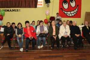 fest volunt 14 (23)